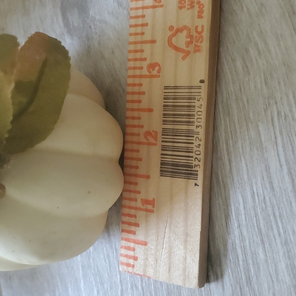 NWT 4 Ashland Mini tabletop Pumpkins - Picture 12 of 12